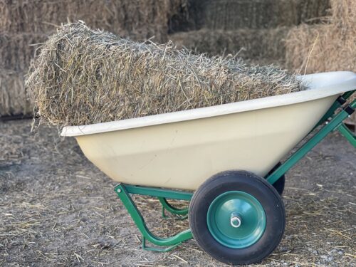 Load Dumper Wheelbarrow - Image 3