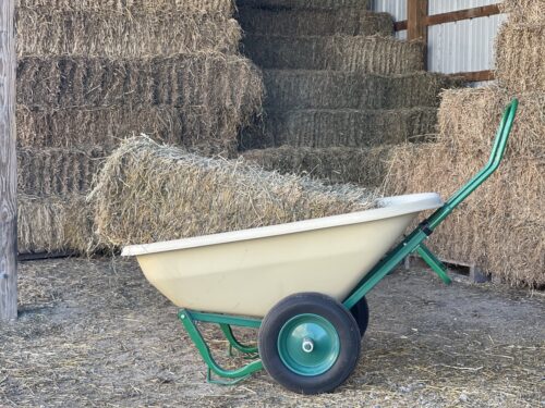 Load Dumper Wheelbarrow - Image 4