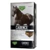 Cadence™