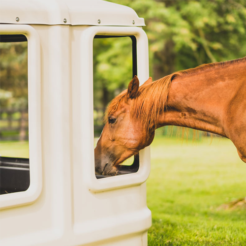 Hay Hut for horses