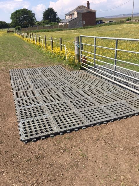 Stable Ground Mud Solution - Cashmans