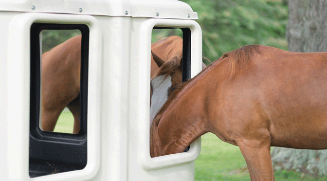 Cashmans All Weather Hay Feeder Cashmans