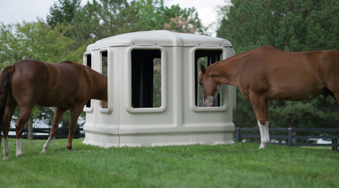 Cashmans All Weather Hay Feeder Cashmans