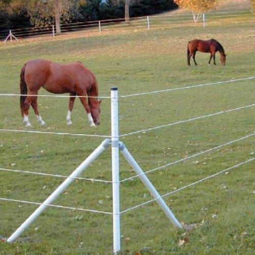 Farm & Livestock Fencing Equipment & Supplies Cashmans