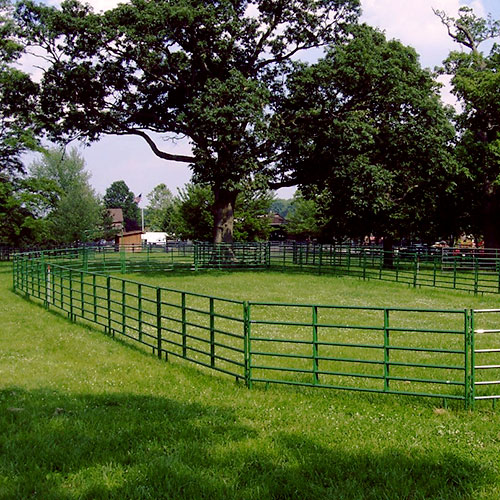 5' High Arena Packages