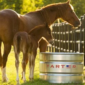 Galvanized Tarter Tanks