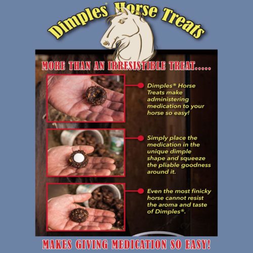 Dimples Horse Treats - easy medication administration - Image 3