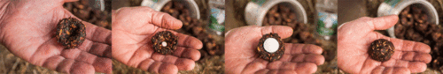 Dimples Horse Treats - easy medication administration - Image 6