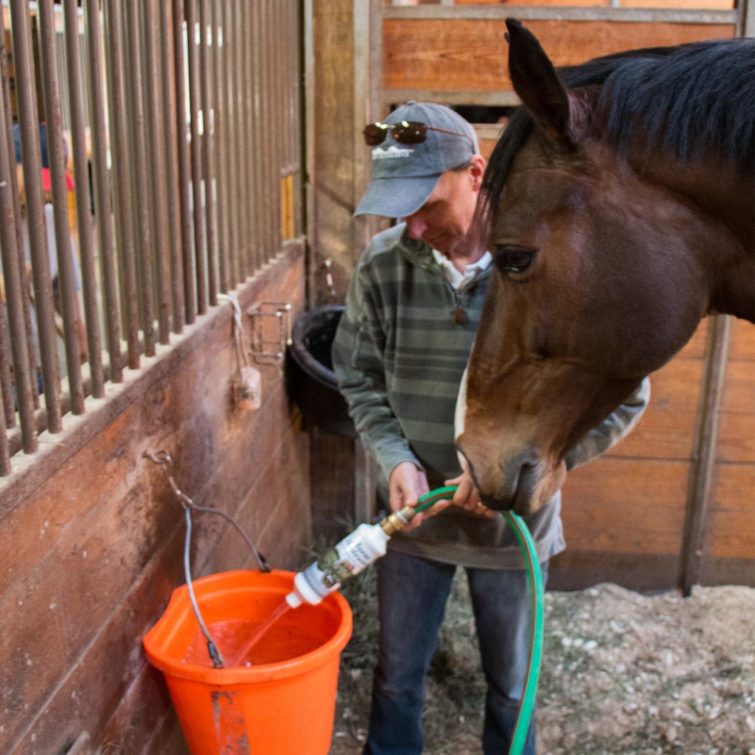 Horse Hydrator Water Filtration System Cashmans
