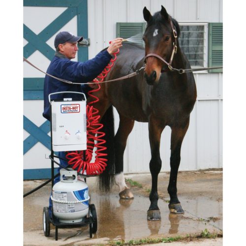 horse bath