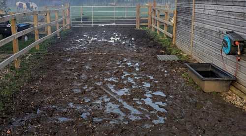 Stable Ground Mud Solution - Cashmans