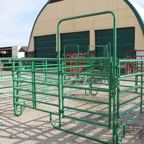 horse show stalls for fair