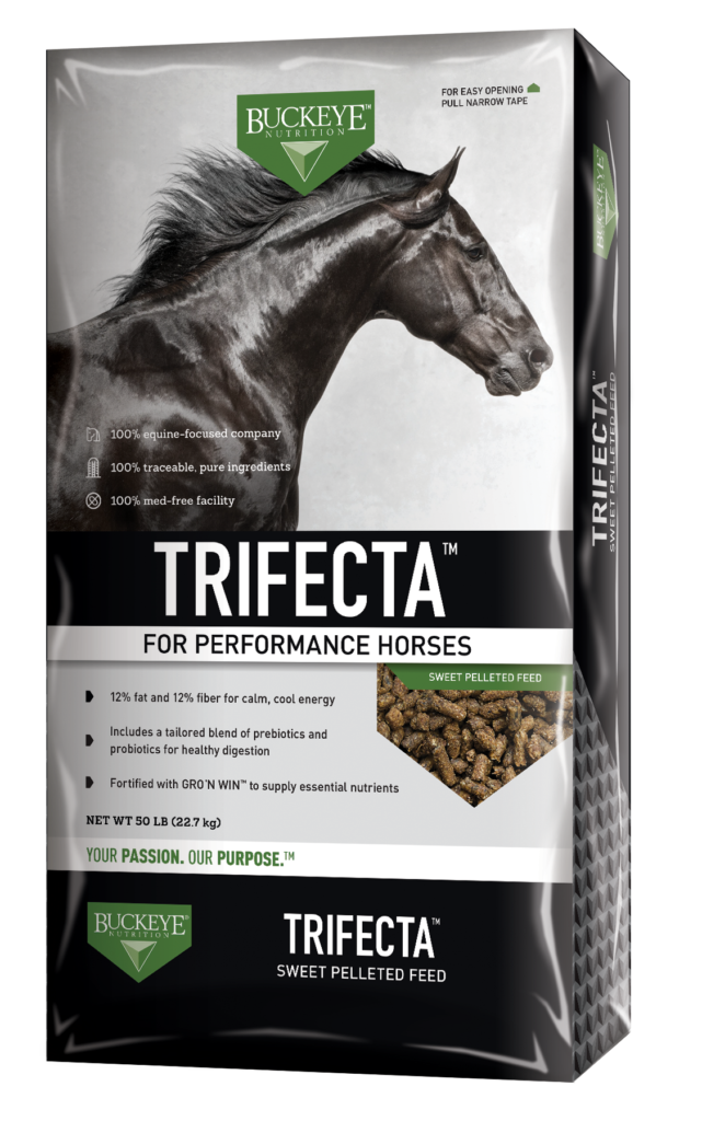 Trifecta Cashmans