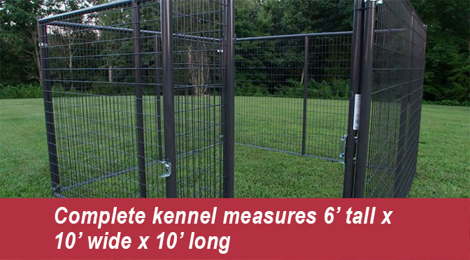10x10 kennel
