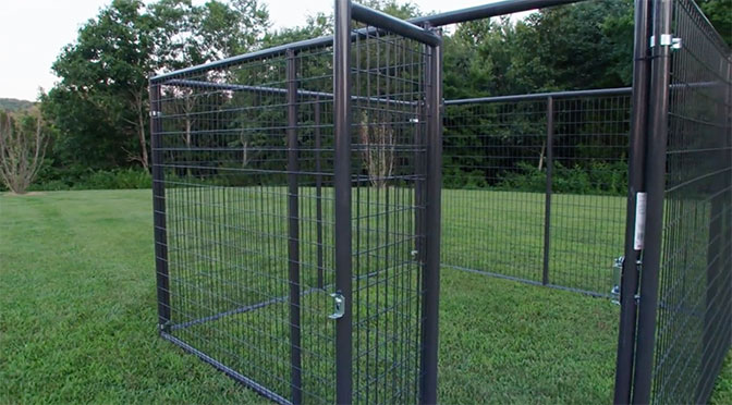 10x10 kennel