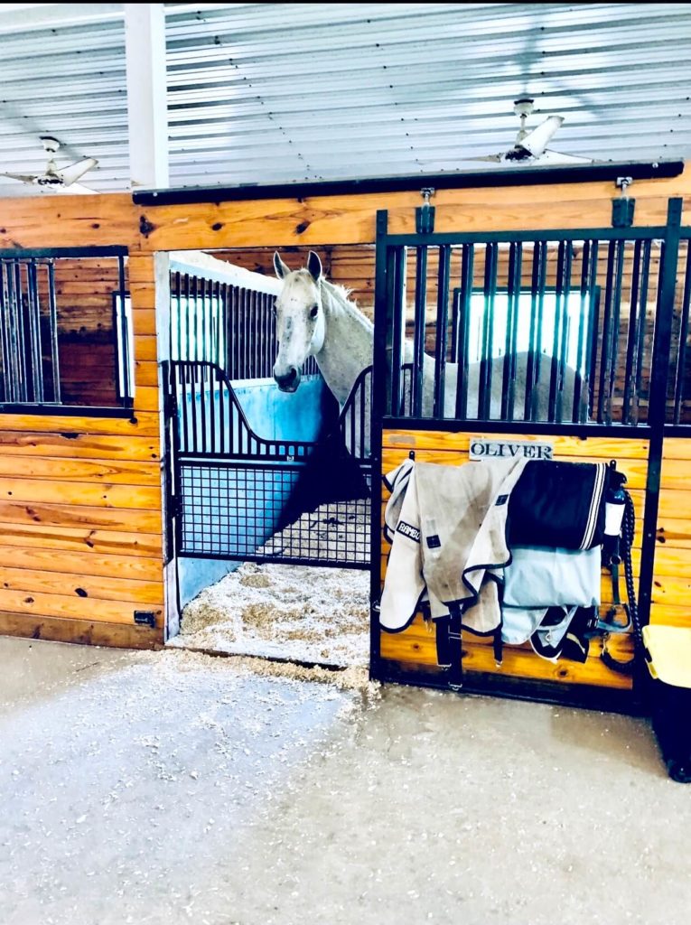 horse stall with a stall gate that has a yoke for the horse to hang its head out