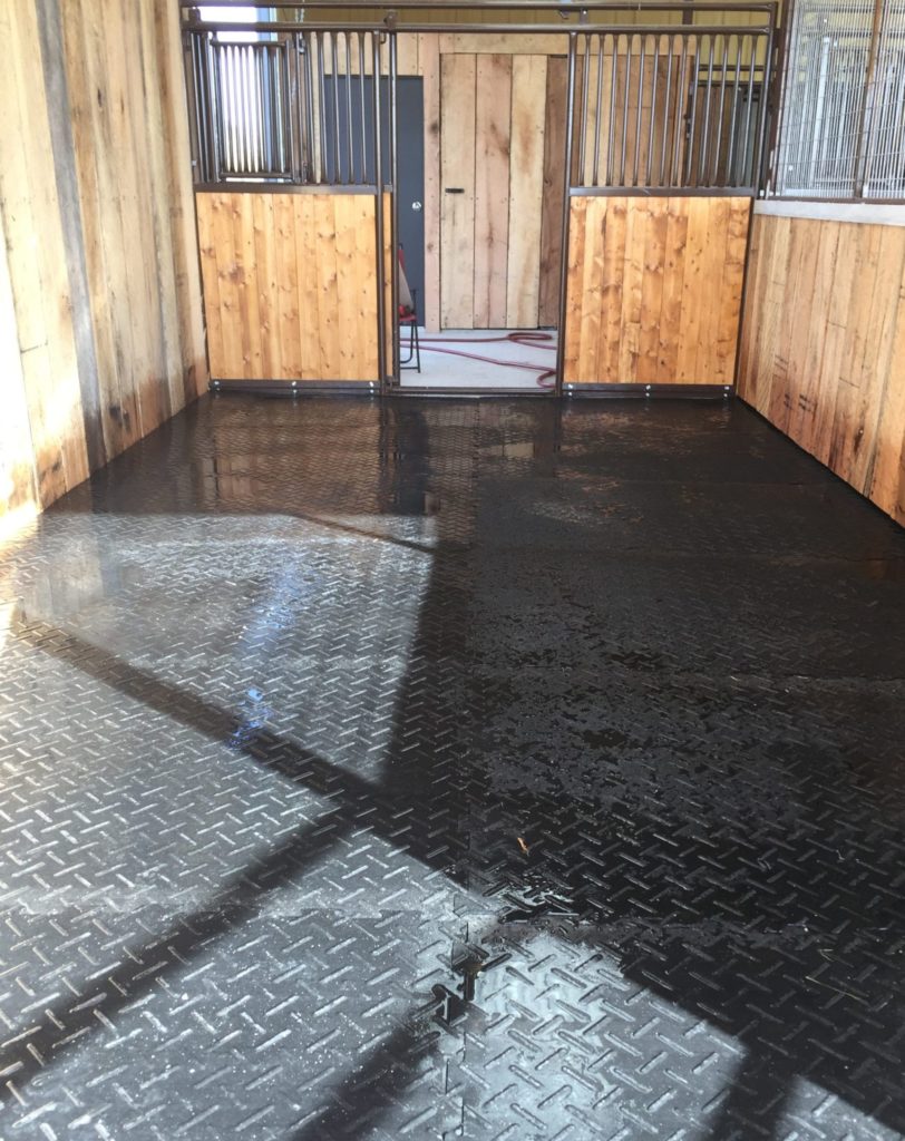 horse stall with rubber interlocking mats