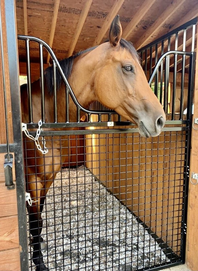 heavy duty horse stall gate with yoke