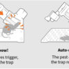 Humane Rat & Mouse Traps - Image 4