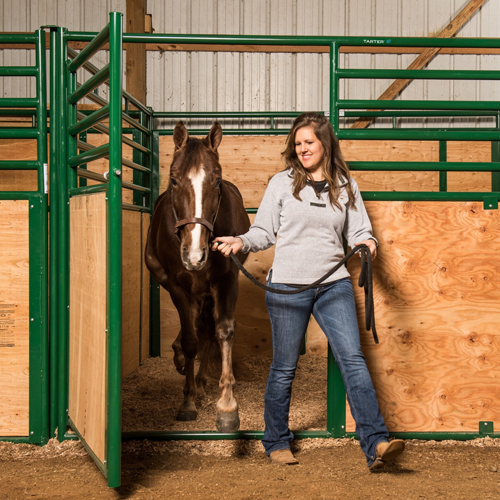 Portable Horse Stalls