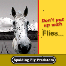 Spalding Labs - Fly Control