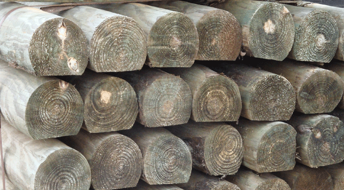 Cashmans Elite Fencing Estimate Request