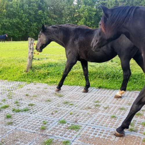 Paddock Slab Calculator