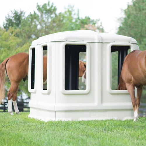 All American Quarter Horse Congress