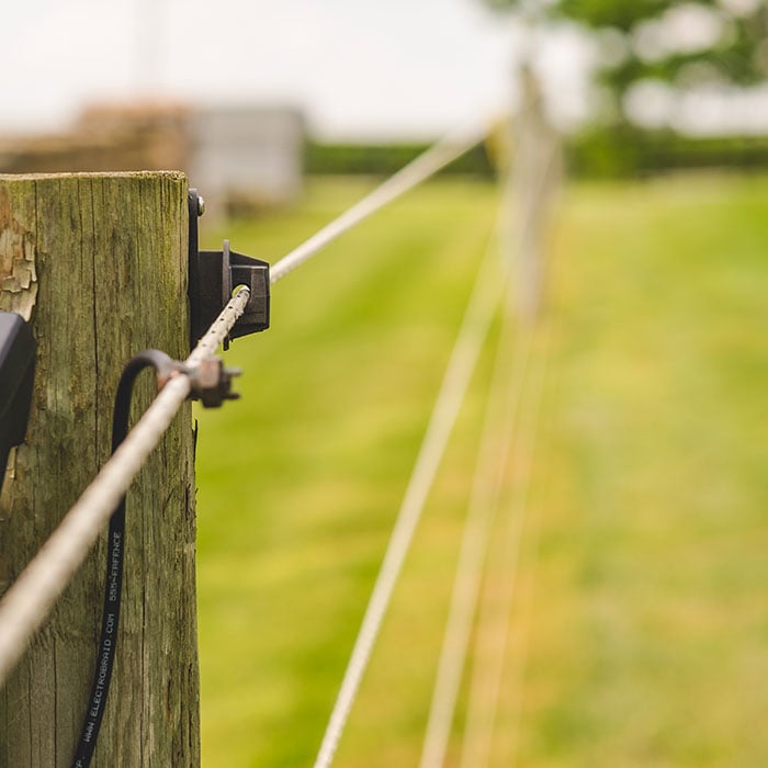 Cashman Elite Consult