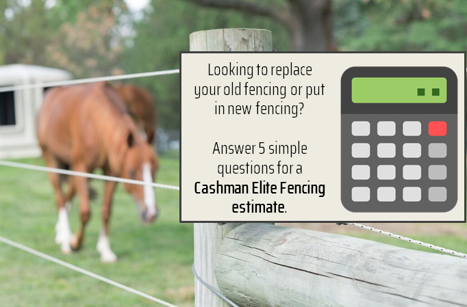 Cashman Elite Consult