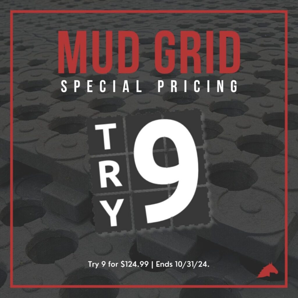 All American Quarter Horse Congress