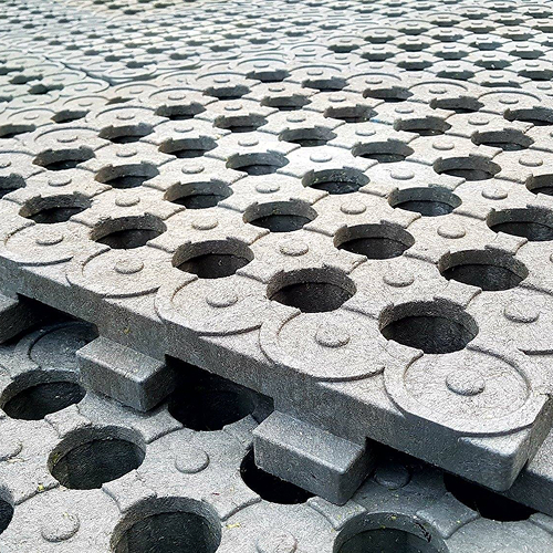 All American Quarter Horse Congress