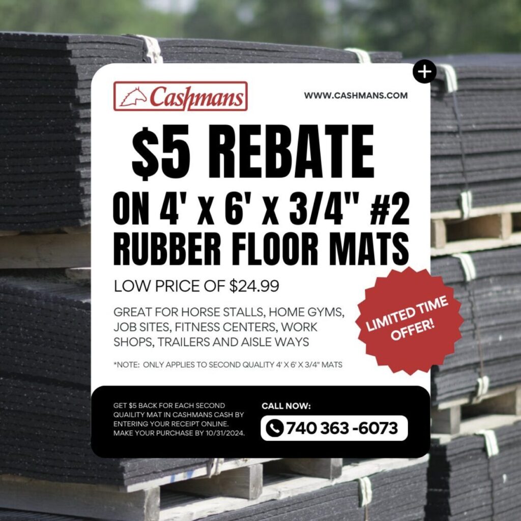 All American Quarter Horse Congress