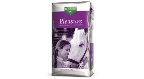 Pleasure Sweet