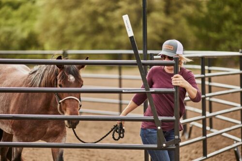 5' High Equestrian World Panels - Image 5