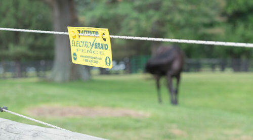 3 Pack Fence Warning Sign - Image 3