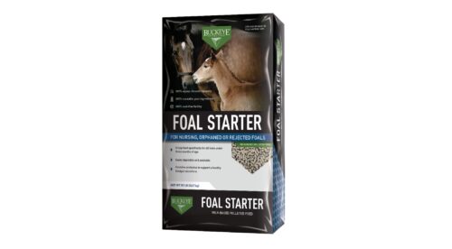 18% Buckeye Nutrition™ Foal Starter