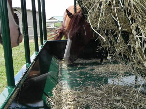 Heavy Duty Round Bale Pasture Feeder - Image 5