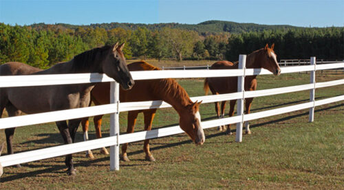 Centaur 5" White Cenflex Fence - Image 3