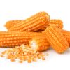 Ear Corn - Image 2