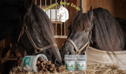 Dimples Horse Treats - easy medication administration - Image 11