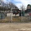 50' Cashman Aluminum Horse Round Pen