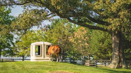 Cashmans All Weather Hay Feeder - Image 6