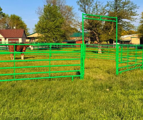 5' High Cashmans CS Horse Panel - Image 4
