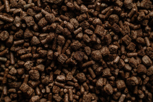 EQ8™ Gut Health - Image 4