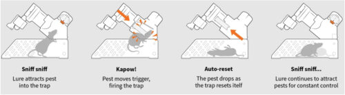 Humane Rat & Mouse Traps - Image 14