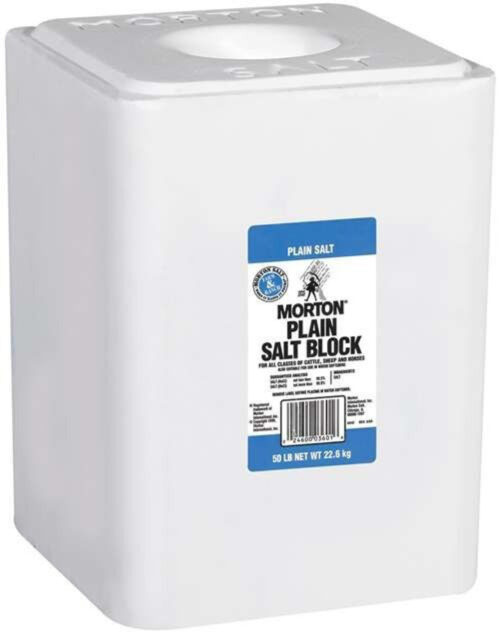 White Salt Block