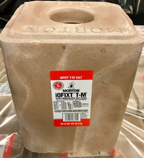 Trace Mineral Salt Block