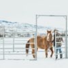 70' Hot Dipped Galvanized Round Pen - 6' High