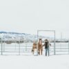 70' Hot Dipped Galvanized Round Pen - 6' High - Image 2